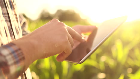Farmer-at-sunset-in-a-field-with-a-tablet-computer.-Slow-motion